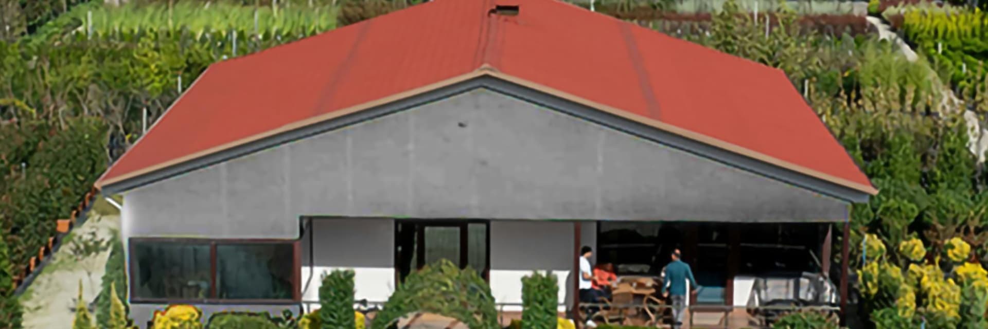 Banner background